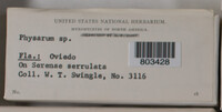 Image Associated With the Occurence